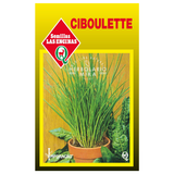Semillas de cibulette
