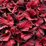 Flor de Jamaica (Hibiscus) 1 Kilo