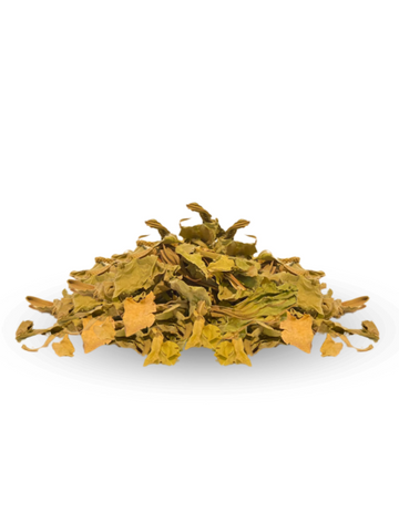 Hierba hoja de sauco