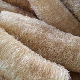 Luffa trozo