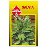 Semillas de salvia