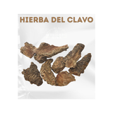 Hierba del Clavo