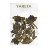 Hierba de Yareta