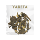 Hierba de Yareta