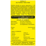 Semillas de zapallo buternut waltham
