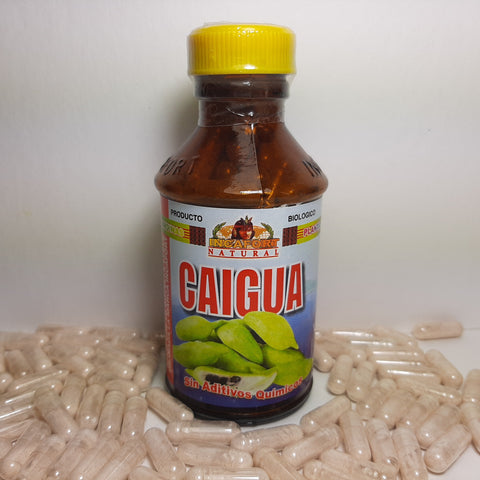 Caigua